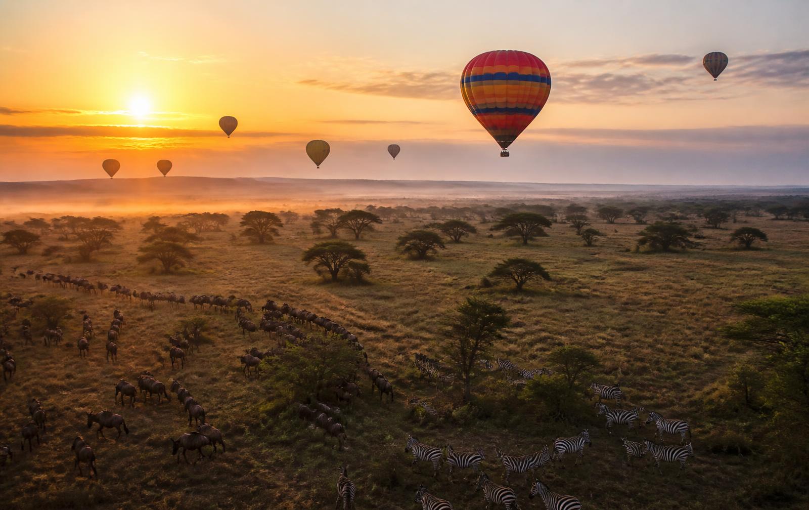 Hot air balloon at sunrise over the Maasai Mara